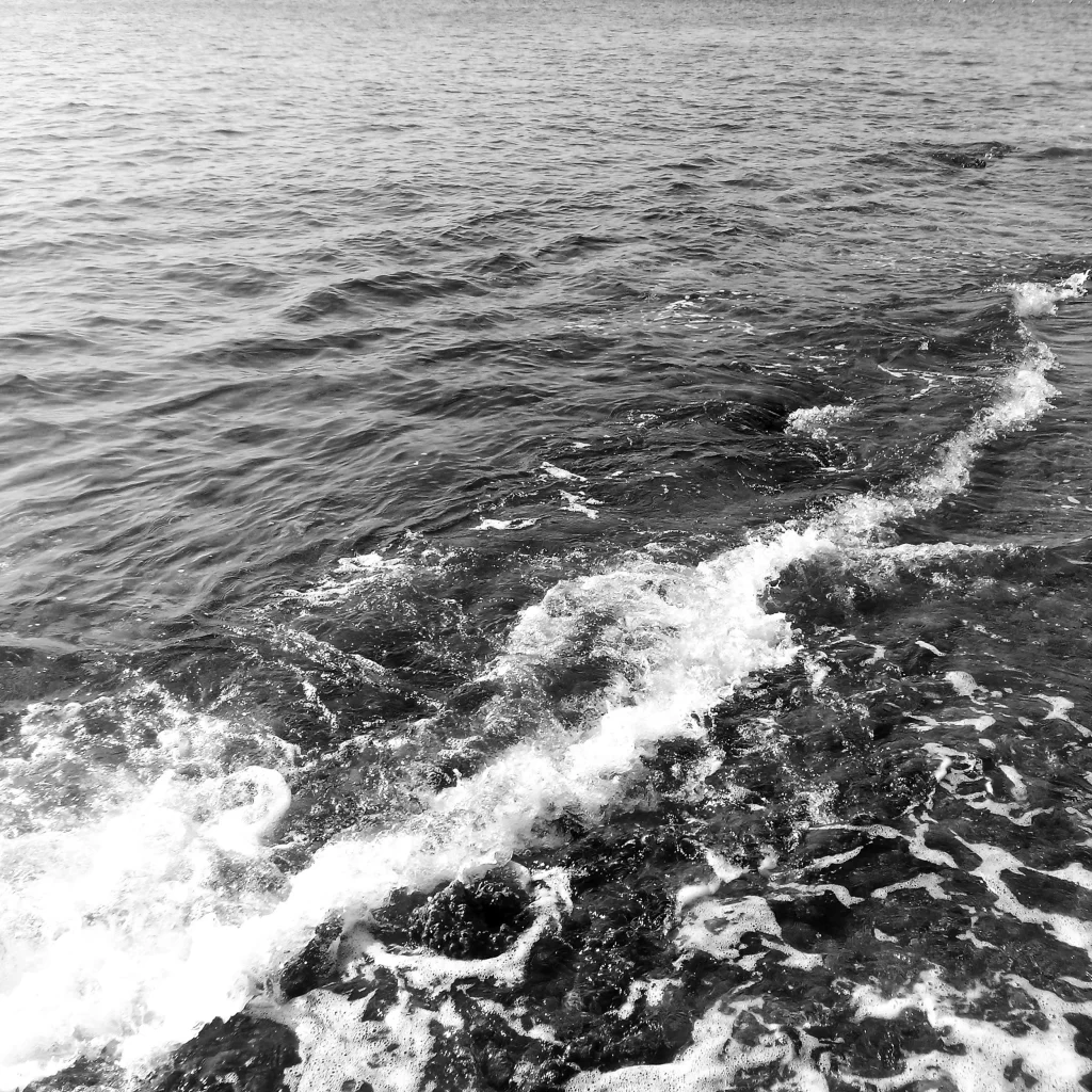 Ripples Foam Movement Water Surface