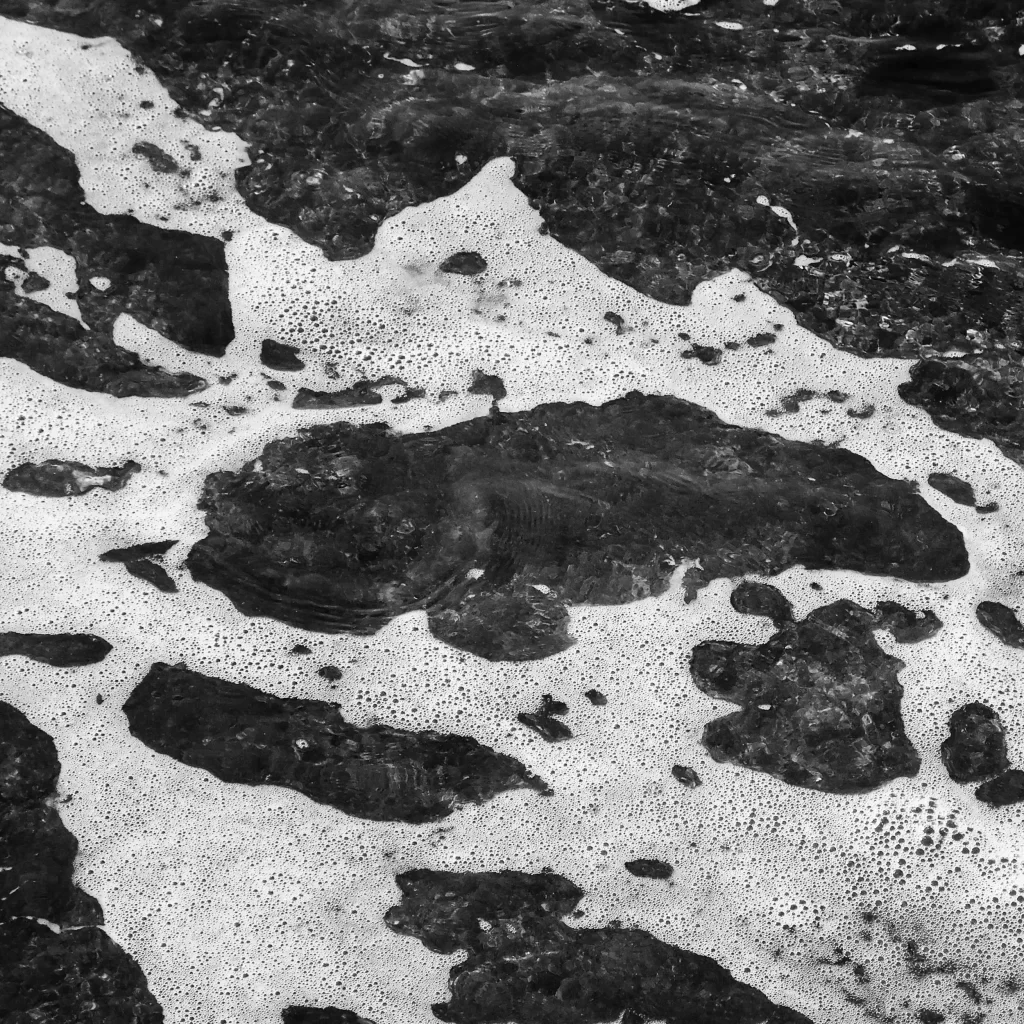 Rippling Water Surface Reflections Light Patterns