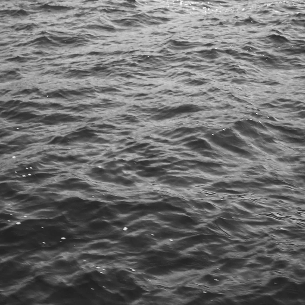 Rippling Water Surface Reflections Monochrome