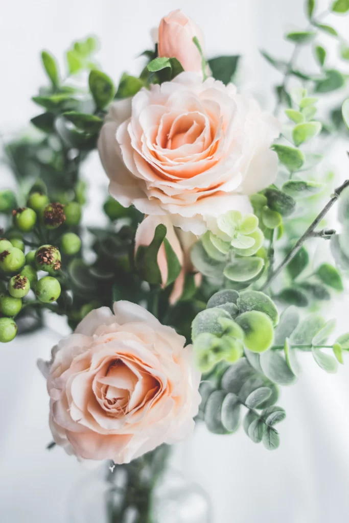 Rose Peach Green Leaf White gray Background