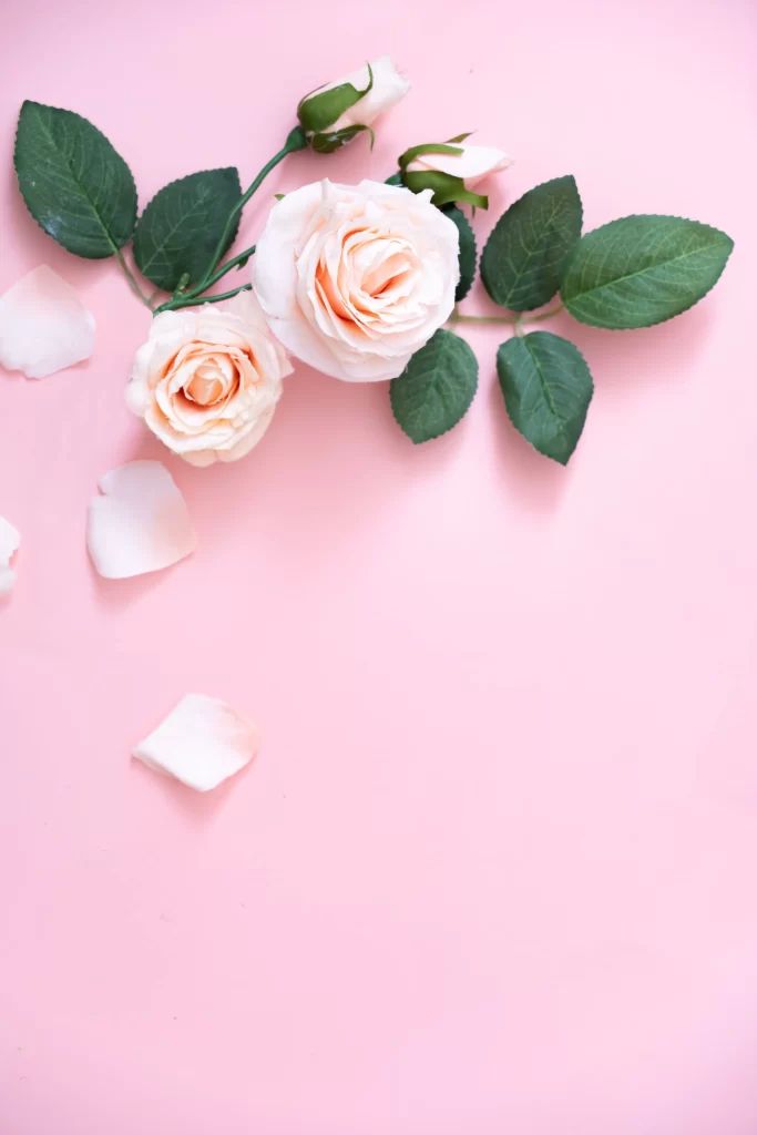 Rose Peach Green Pink