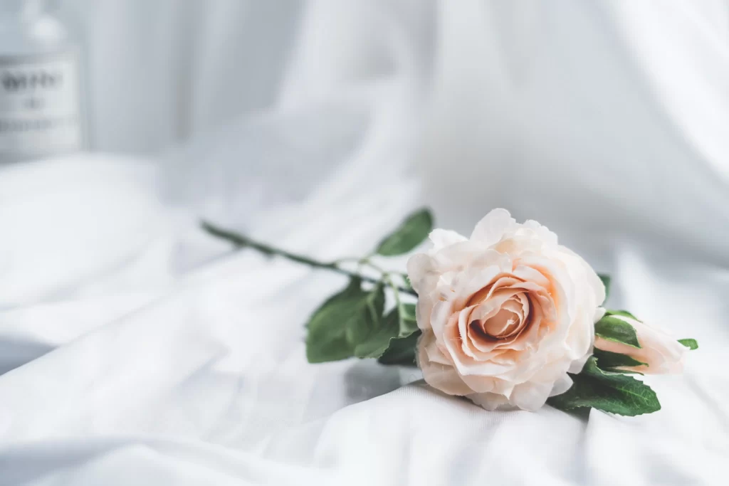 Rose Peach Green White