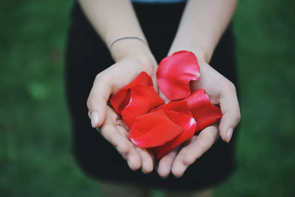 Rose Petals Red Green