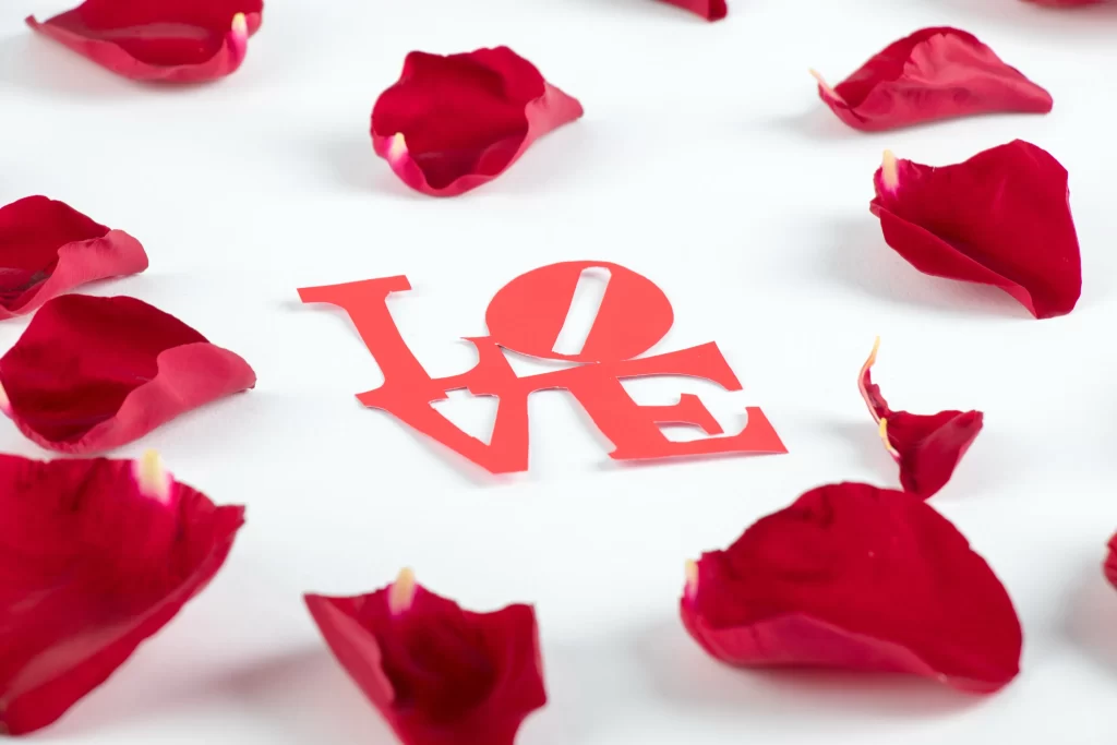 Rose Petals Red White Background