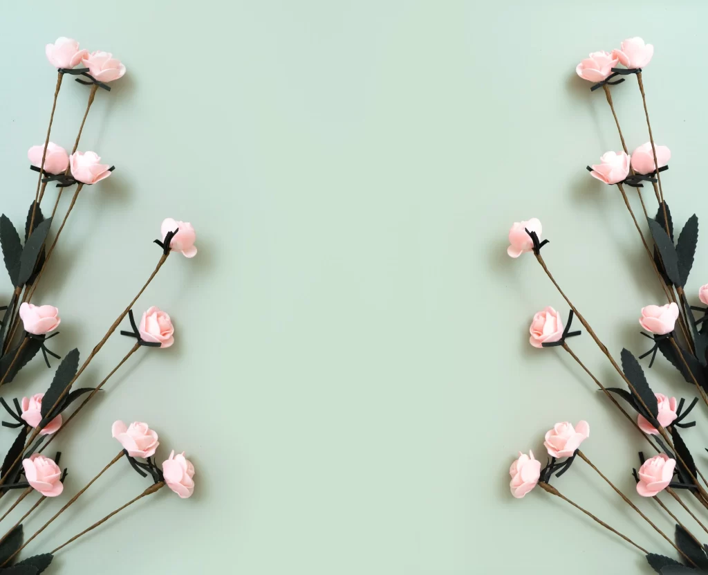 Rose Pink Petals Brown Stem Green Leaves Light Green Background