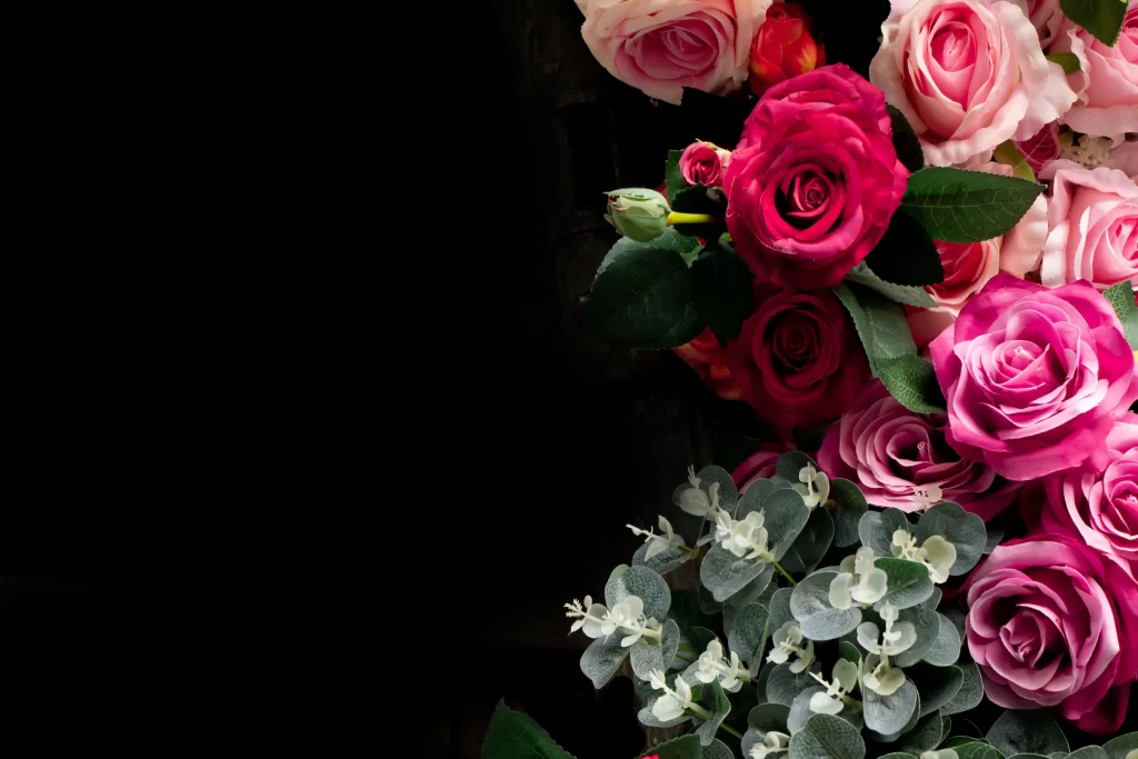 Rose Pink Red Green dark Leaf