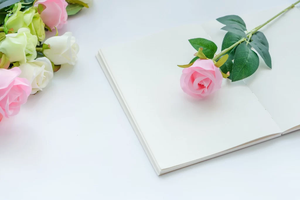 Rose Pink White Green Leaf White Background