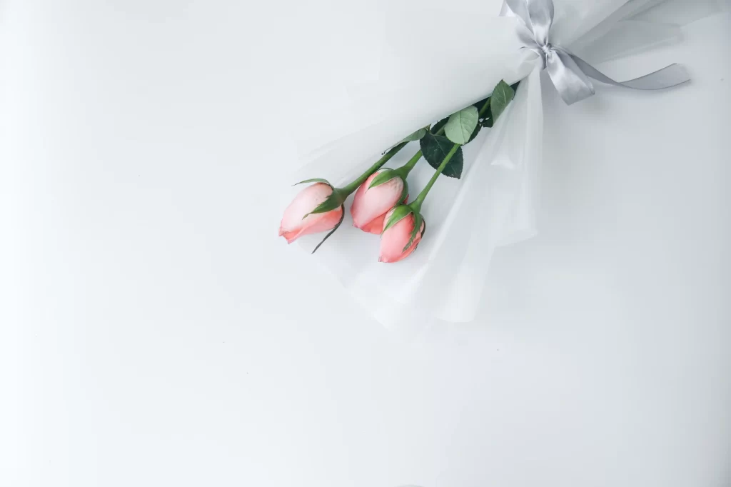 Rose Pink White Green Leaf White Background