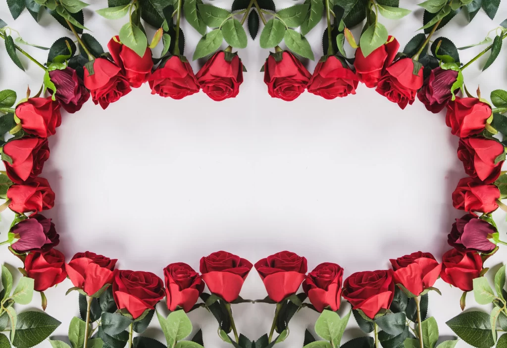Rose Red Green Leaf White gray Background