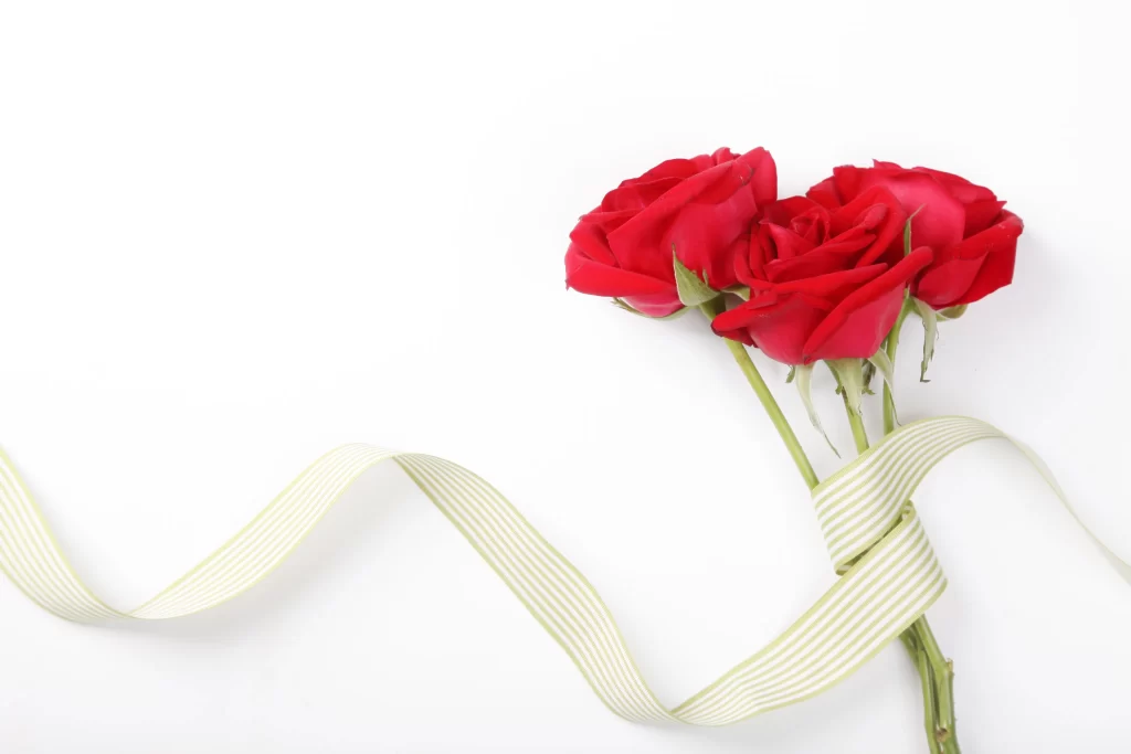 Rose Red Green Leaf White Background