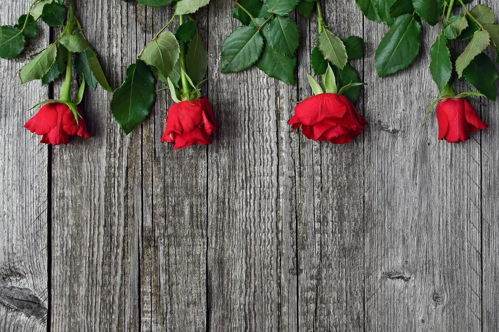 Rose Red Green Leaf Wooden Surface