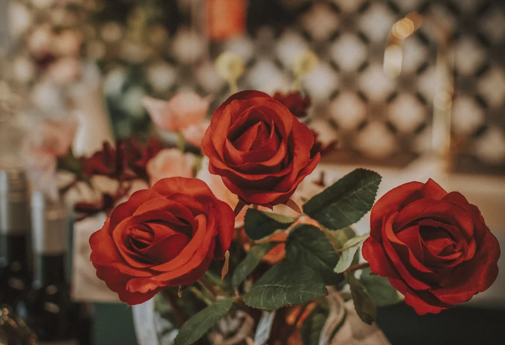 Rose Red Petals Green Leaves Indoor Setting