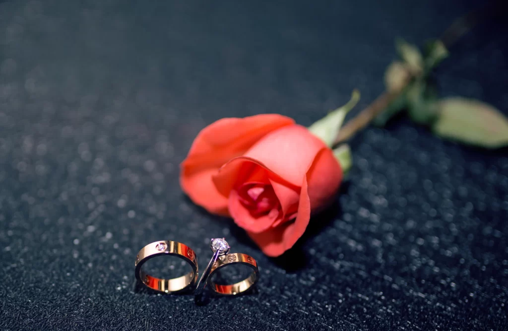 Rose Red Petals Green Stem Black gray Background
