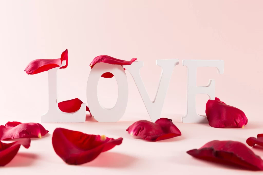 Rose Red Petals White Letters Pink Background