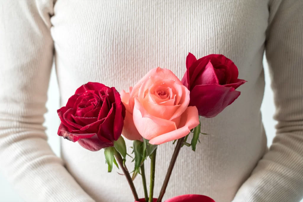 Rose Red Pink White