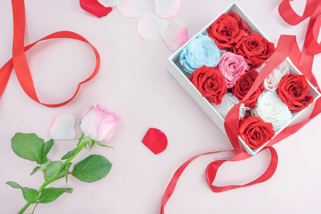 Rose Red Pink White Blue Petals Ribbon