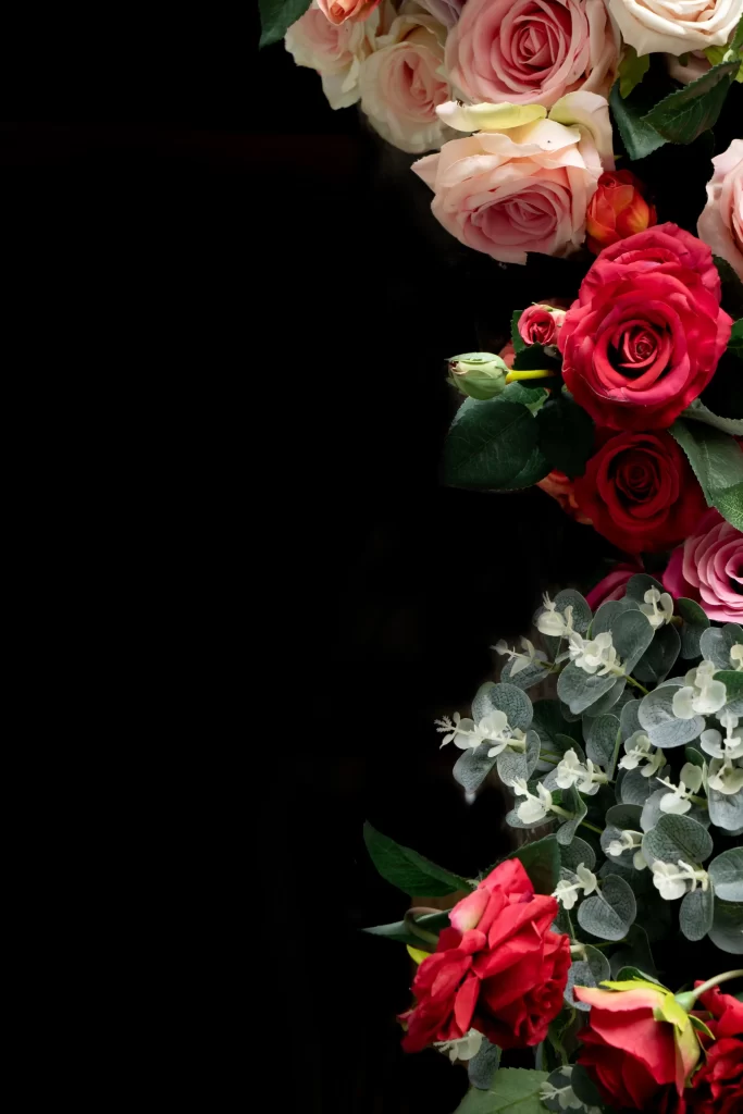 Rose Red Pink White Green Leaf