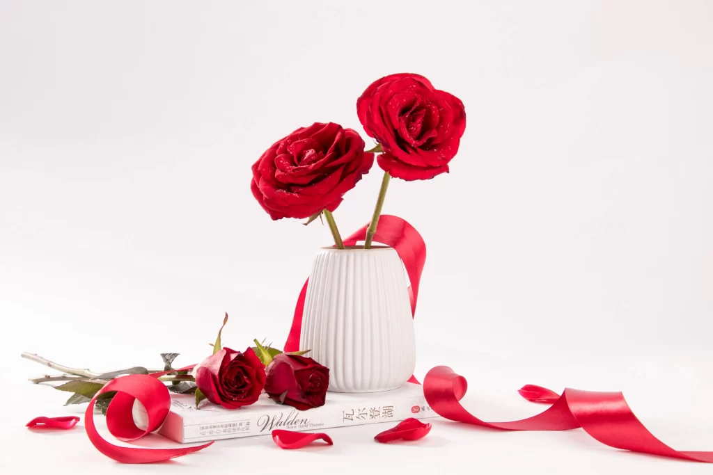 Rose Red White Vase Petals Book