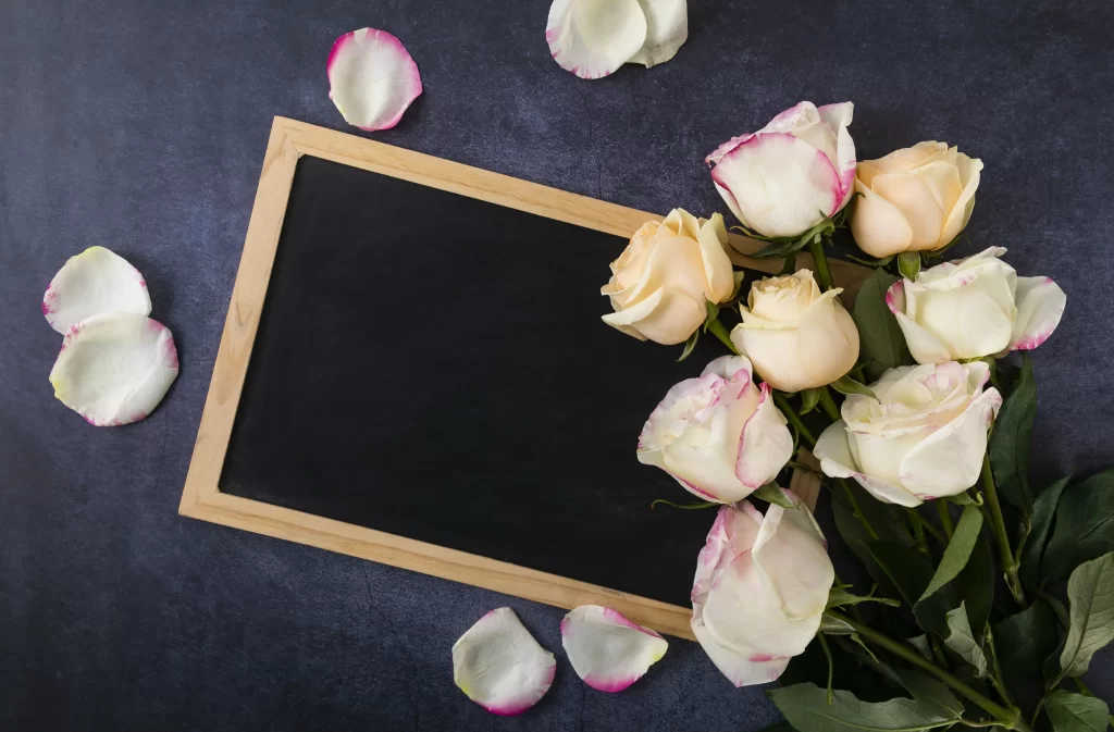 Rose White Pink Petals Green Leaves Dark Background