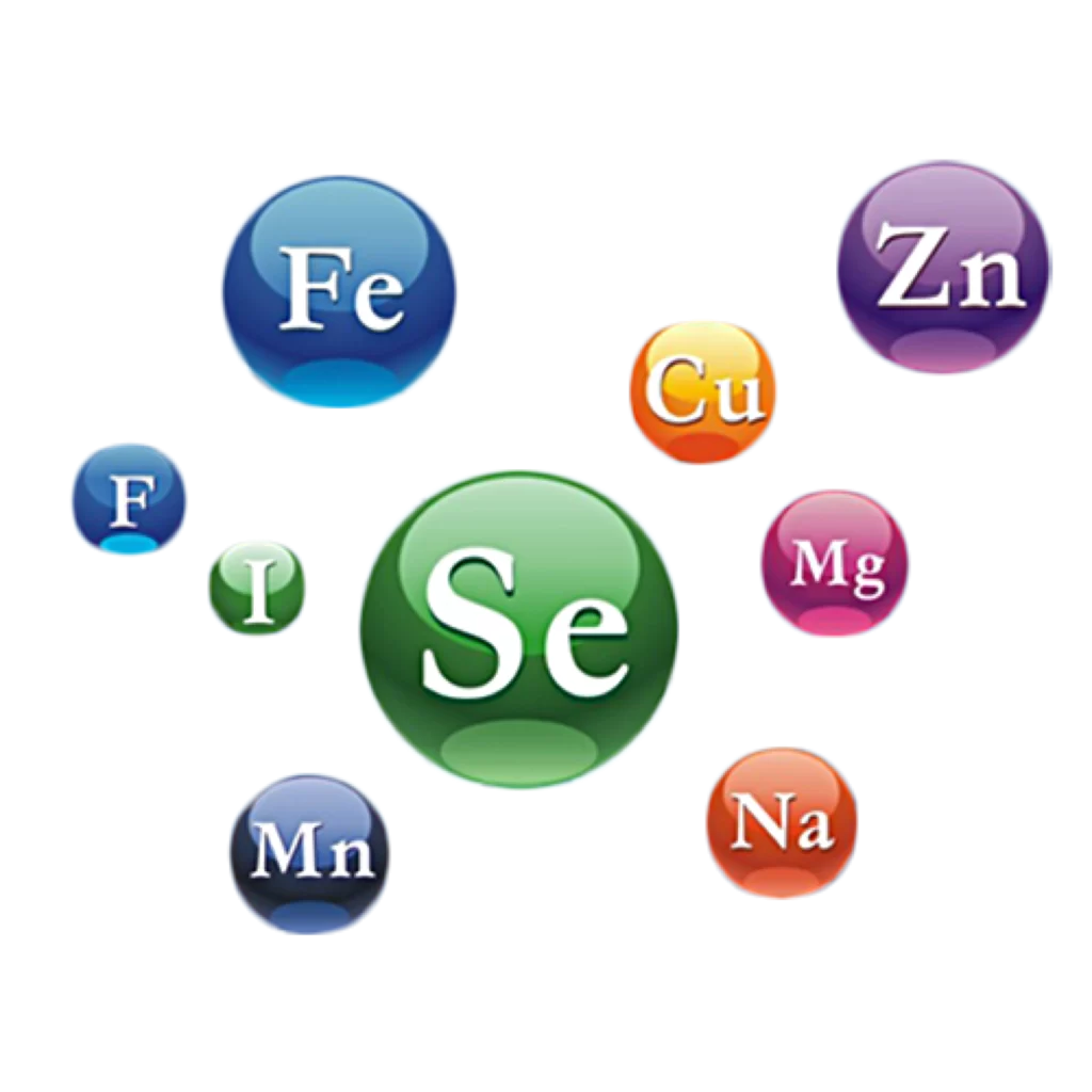 Selenium Iron Zinc Copper Magnesium Sodium Fluorine Iodine Manganese