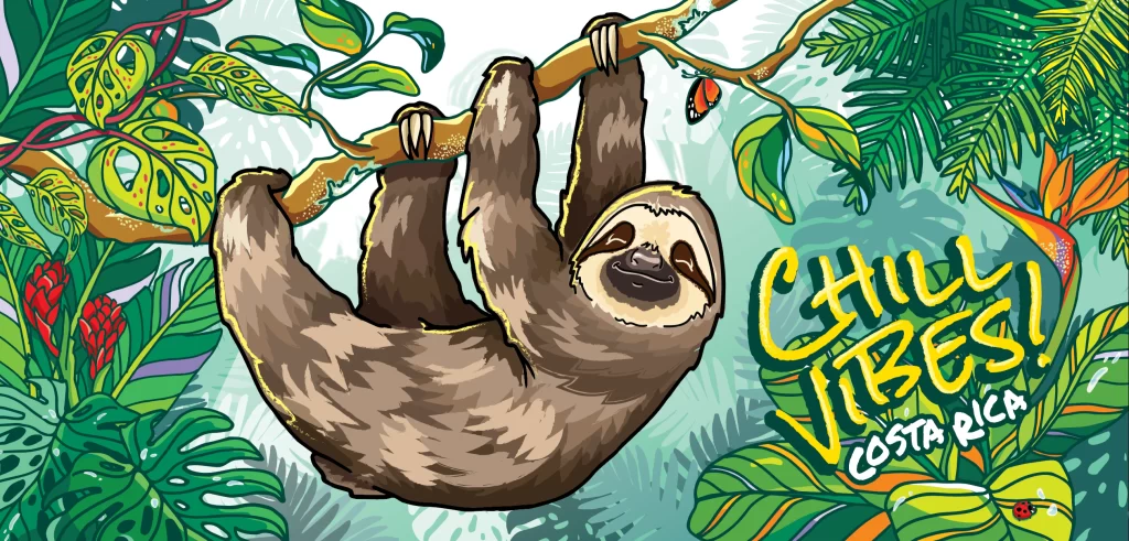 Sloth Jungle Relaxation Chill Vibes