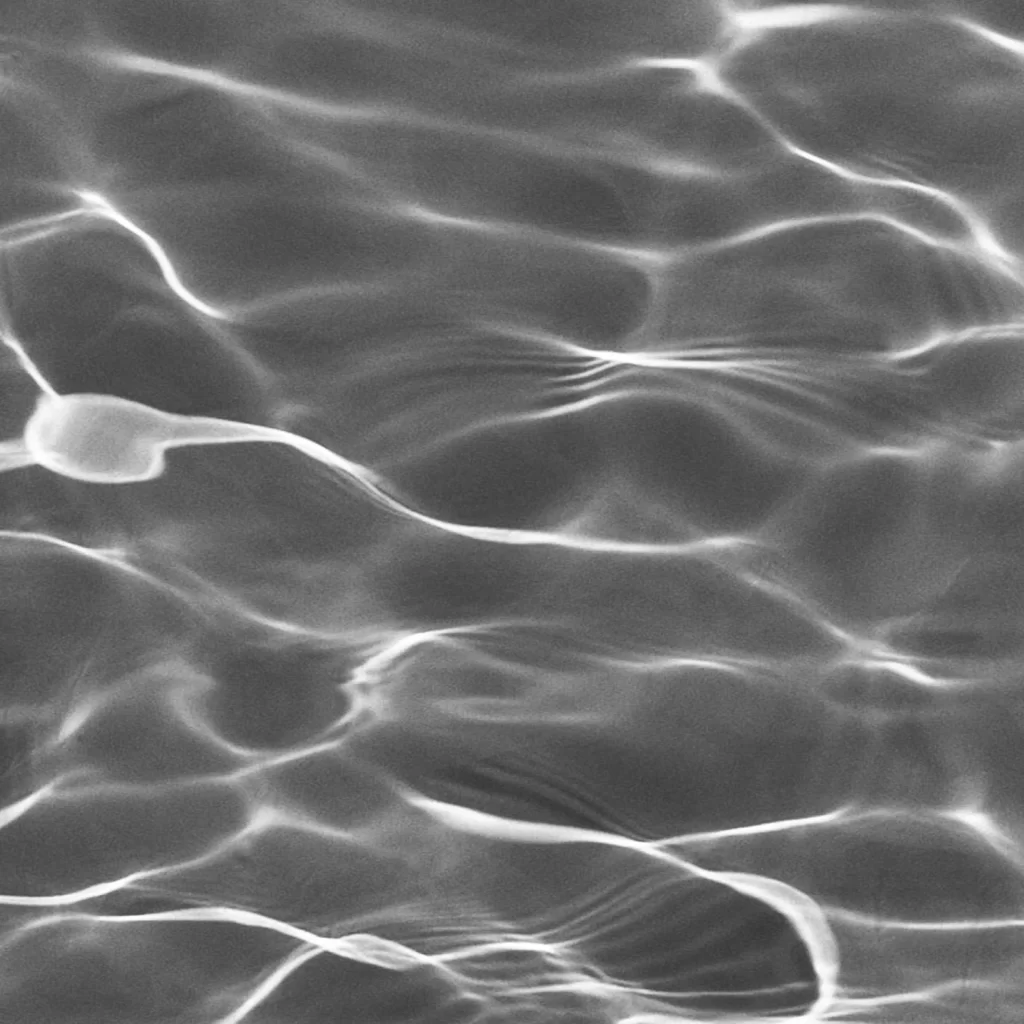 Sperm Cells Microscopic View Black and White Fluidity