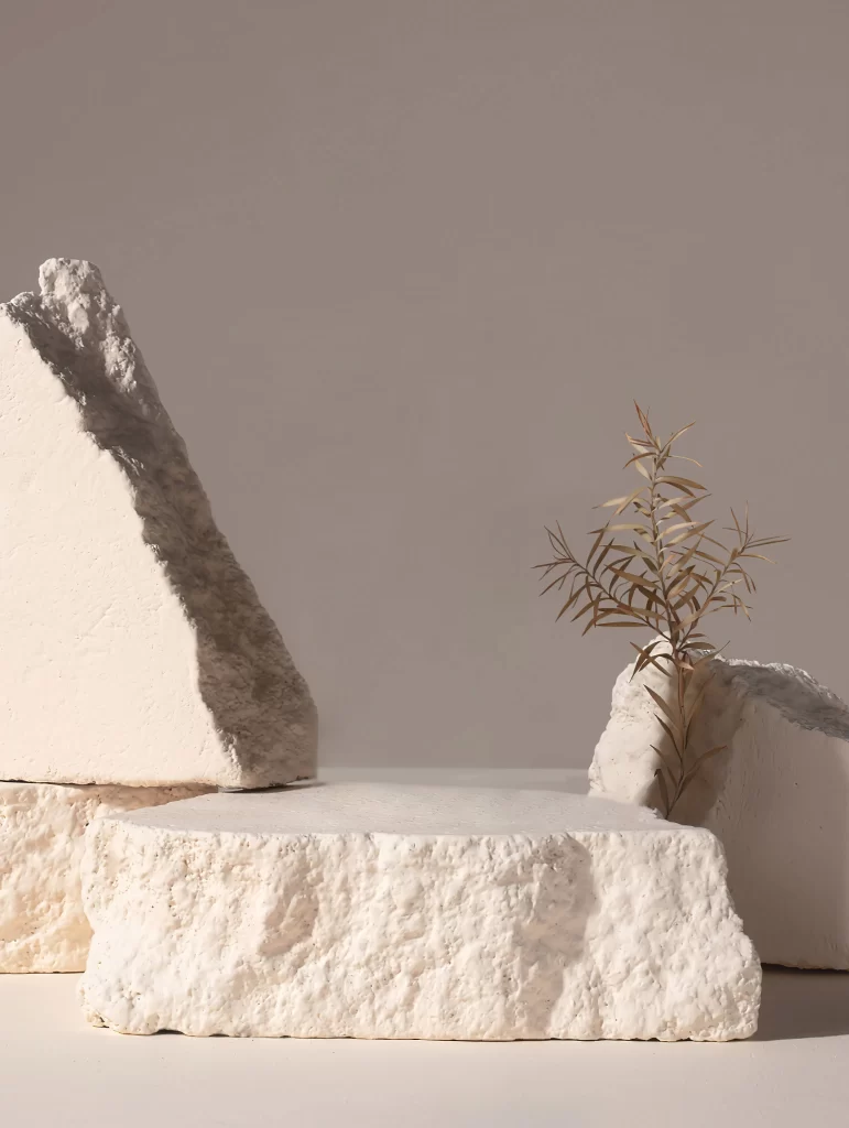 Stone Sculpture Plant Minimalist