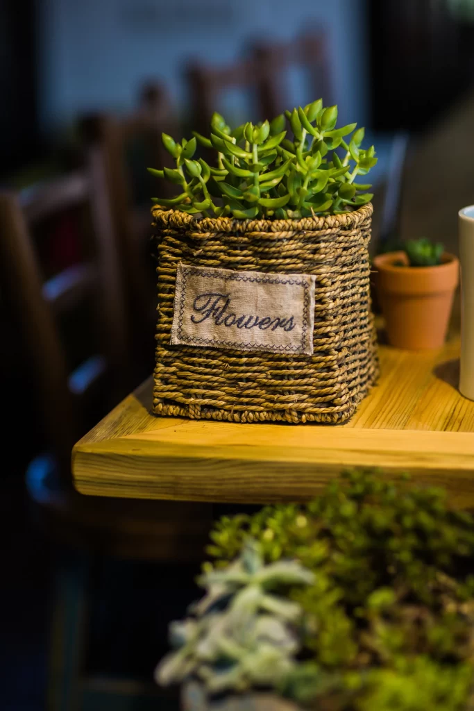 Succulent Green Thick Leaves Basket