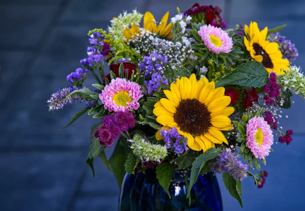 Sunflower Pink Purple Yellow Green