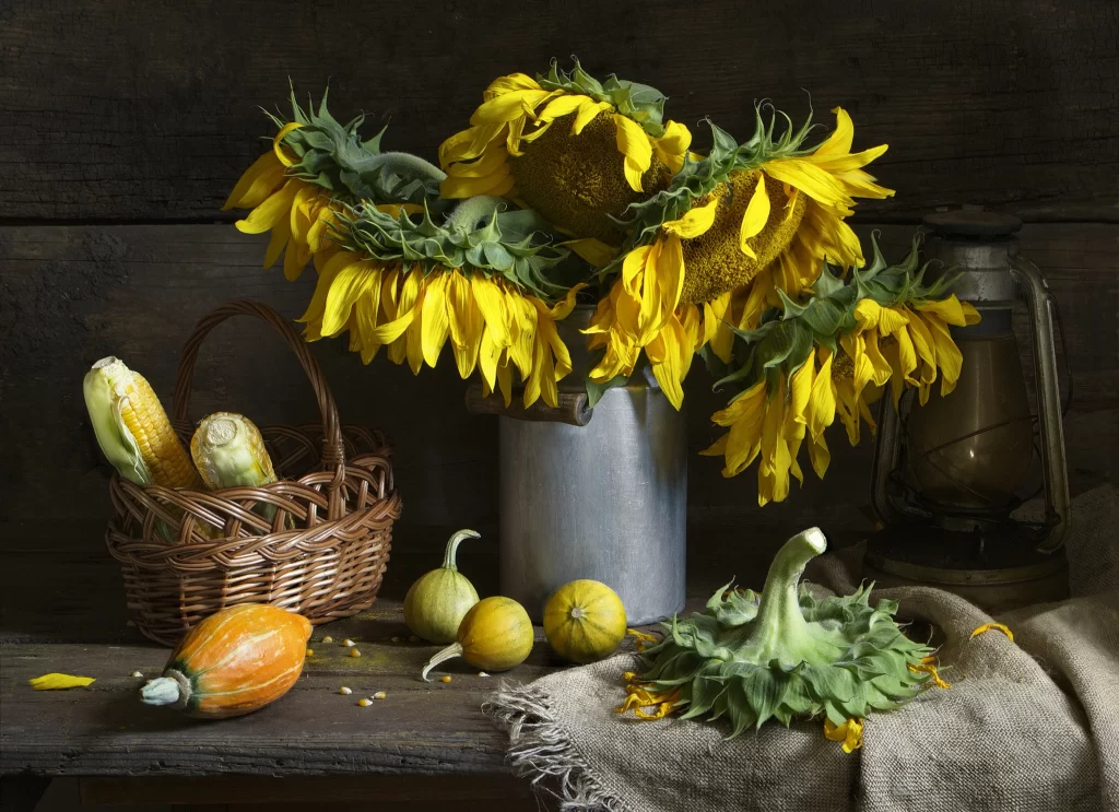 Sunflower Yellow Green Orange Brown