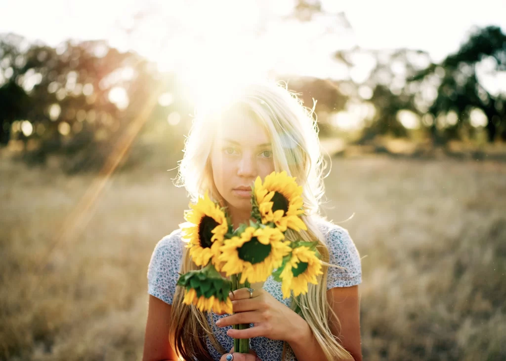 Sunflower Yellow Green warm Field