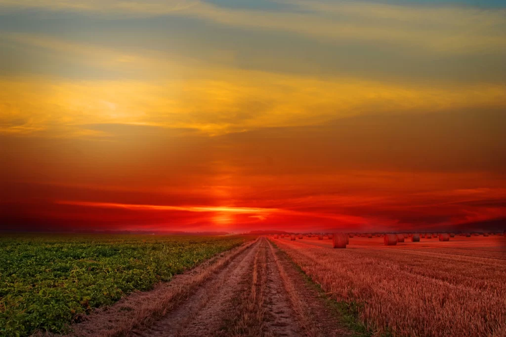 Sunset Field Haystacks Green Yellow Orange Red