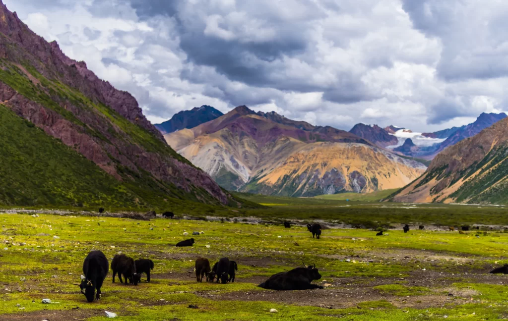 sunset golden amber ridge valley grassland clouds blue
