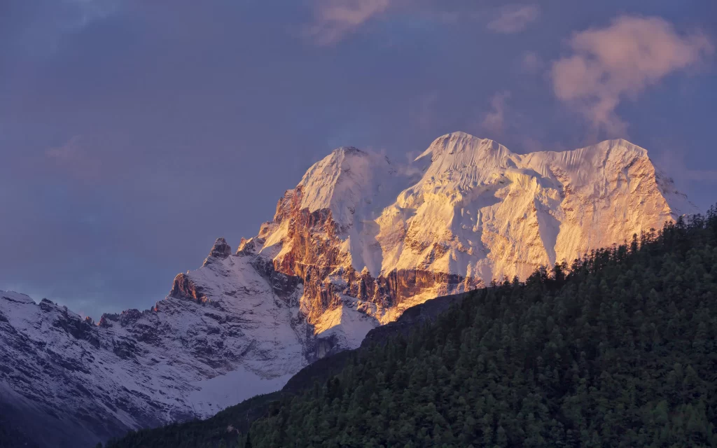 sunset golden snow-capped peaks rugged terrain dense forest clear sky