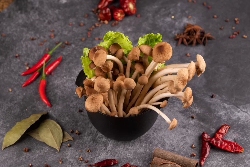 Tea Tree Mushroom Chaoshan Hot Pot Beef