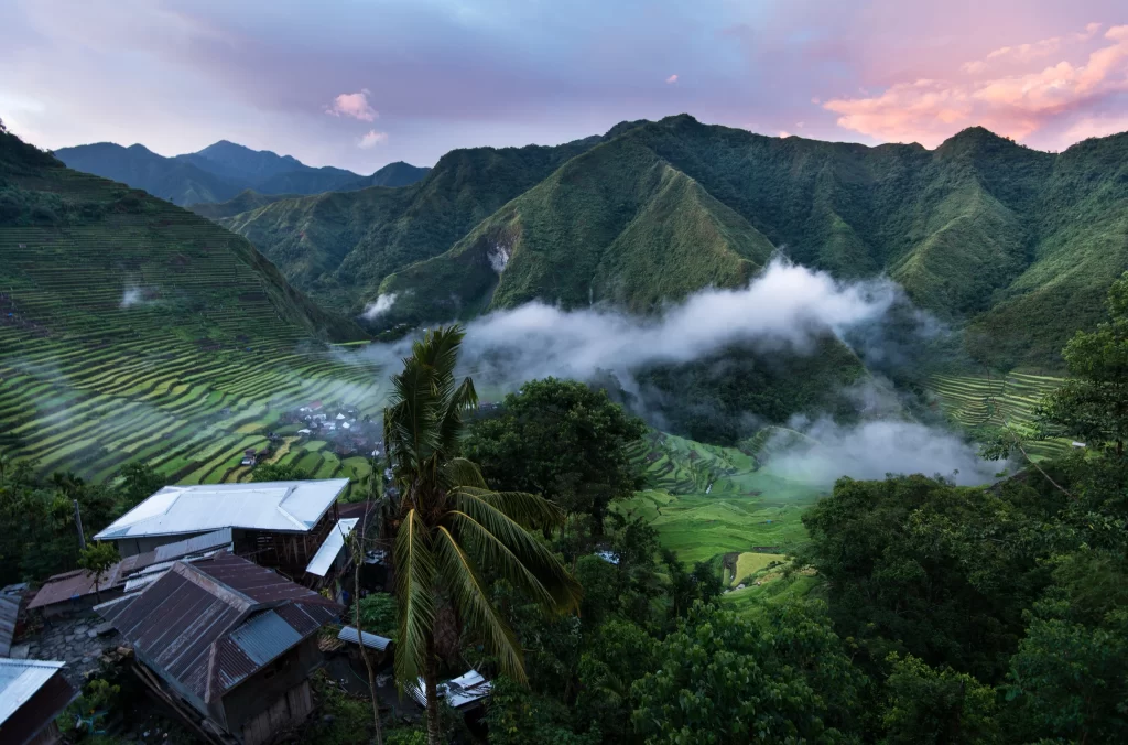 Terraced Fields Green Hills Misty Clouds Dawn Sky