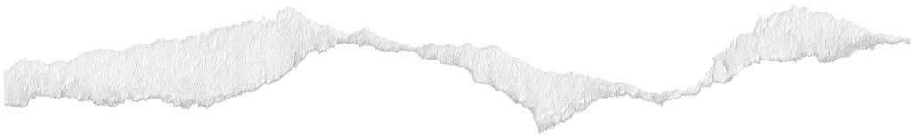 Torn Paper Jagged Edge Frayed Fibrous Texture