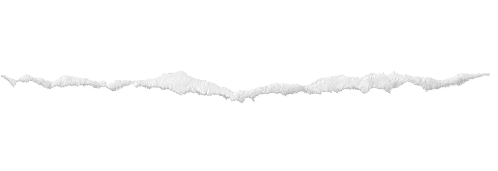 Torn Paper Jagged Edge Frayed Fibrous White
