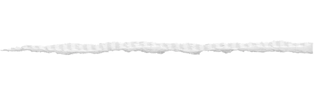 Torn Paper Jagged Edge Frayed Fibrous White Texture