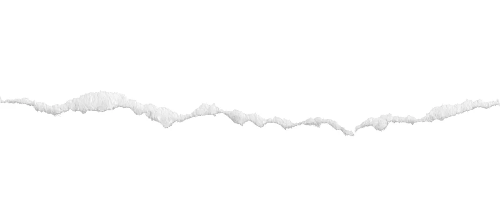 White Torn Paper Texture