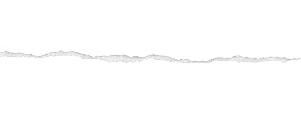Torn Paper Jagged Edge Frayed Texture White