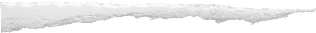 Torn Paper Jagged Edge Frayed Texture White