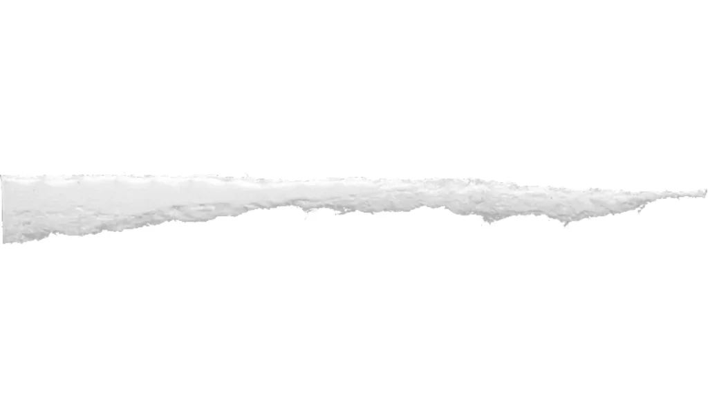 White Torn Paper Texture
