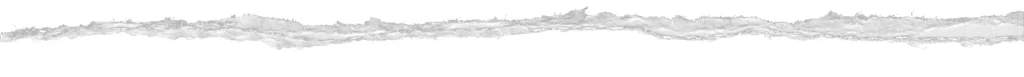 Torn Paper Jagged Edge Rough Texture White Fibrous