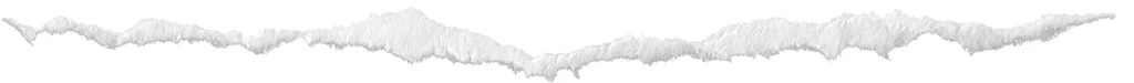 Torn Paper Jagged Edge Rough Texture White