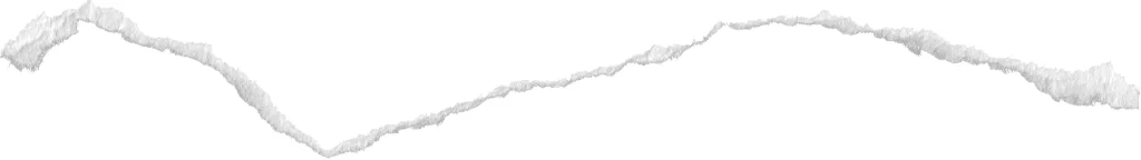 Torn Paper Jagged Edge Rough Texture White