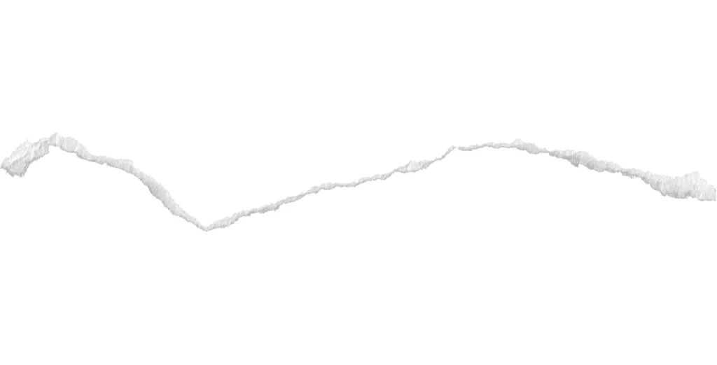 White Torn Paper Texture