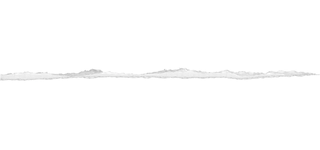 White Torn Paper Texture