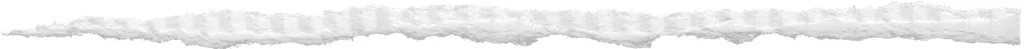 Torn Paper Jagged Edge White Fibrous Texture