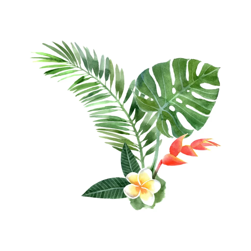 Tropical Leaves Flowers Nature